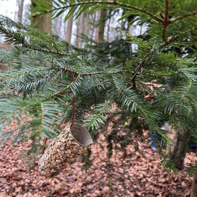 Waldspielgruppe 018
