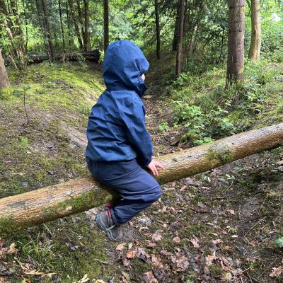 Waldspielgruppe 033